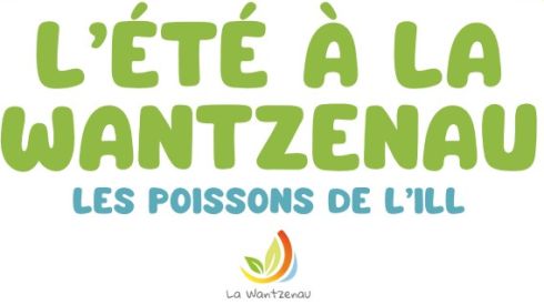 Jeu de l'été : L'été à La Wantzenau – Les poissons de l'Ill